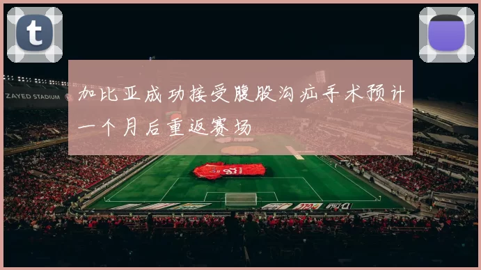 加比亚成功接受腹股沟疝手术预计一个月后重返赛场